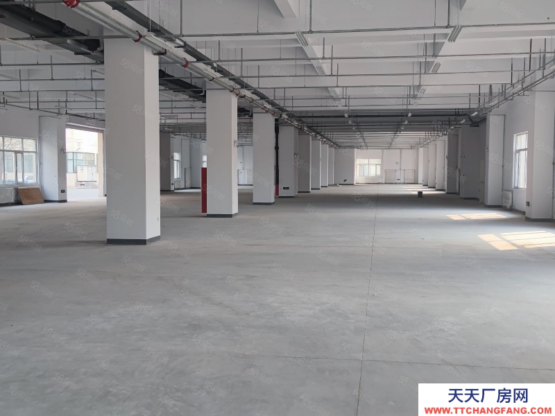 (出租) 天津西青西青慧谷丨甲方直租一手新房丨食堂丨班車丨環(huán)評消防丨歡迎咨詢