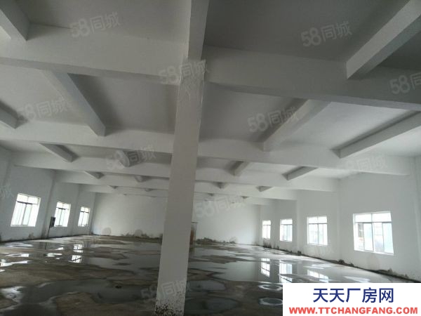 蘇州市平江區(qū)望亭新出700平倉庫層高5.5米平頂大車好進(jìn)出價(jià)位美麗