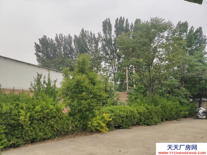 (出售) 屋，占地五畝，水電齊全！