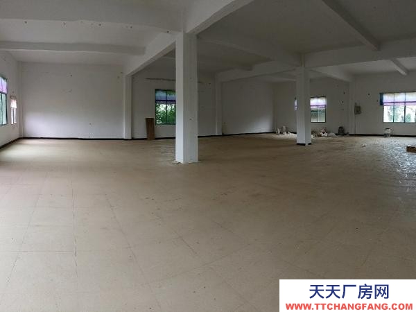 益陽市資陽區(qū)低價出售標(biāo)準(zhǔn)框架廠房二樓三樓