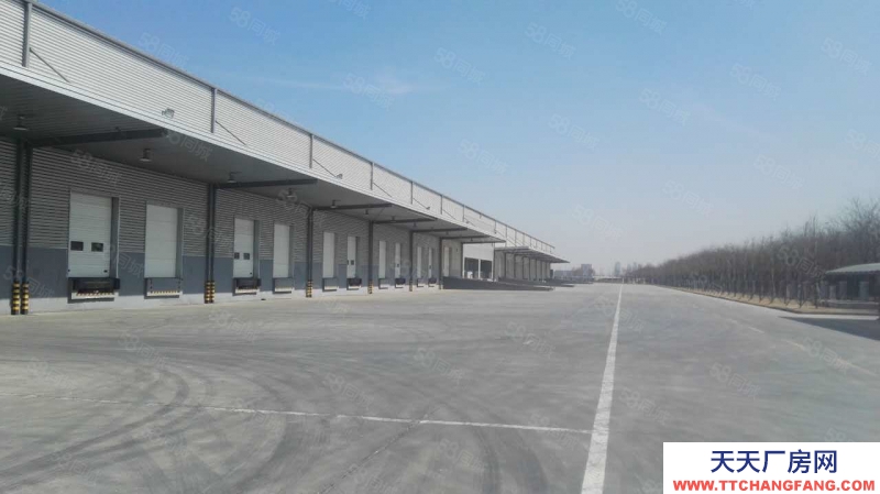 (出租) 天津西青開(kāi)發(fā)區(qū)產(chǎn)業(yè)園標(biāo)準(zhǔn)丙二類高臺(tái)倉(cāng)庫(kù)出租，可分租