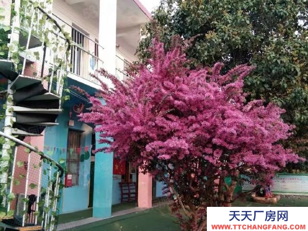 益陽市南縣區租金便宜！南縣調蓄湖村旁廠房倉庫房東直租行業不限