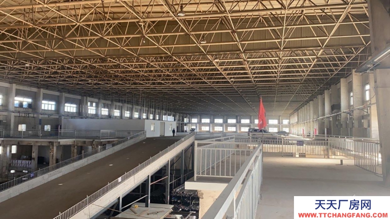 (出租) 天津塘沽100-2000平米倉庫 交通便利 停車方便