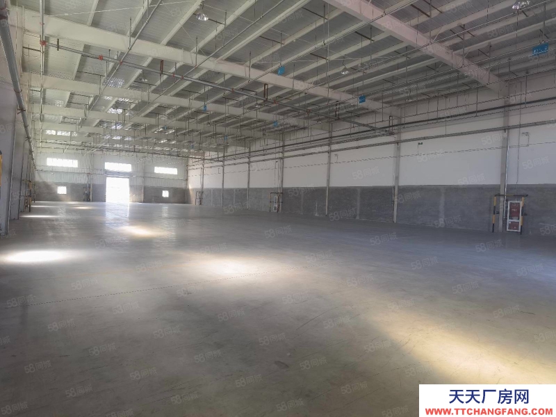 (出租) 天津塘沽武清區丙一類倉庫對外出租 6000平米