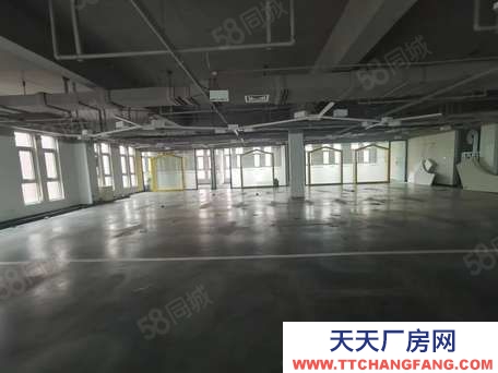 (出租) 天津津南雙港561平米電商辦公出租