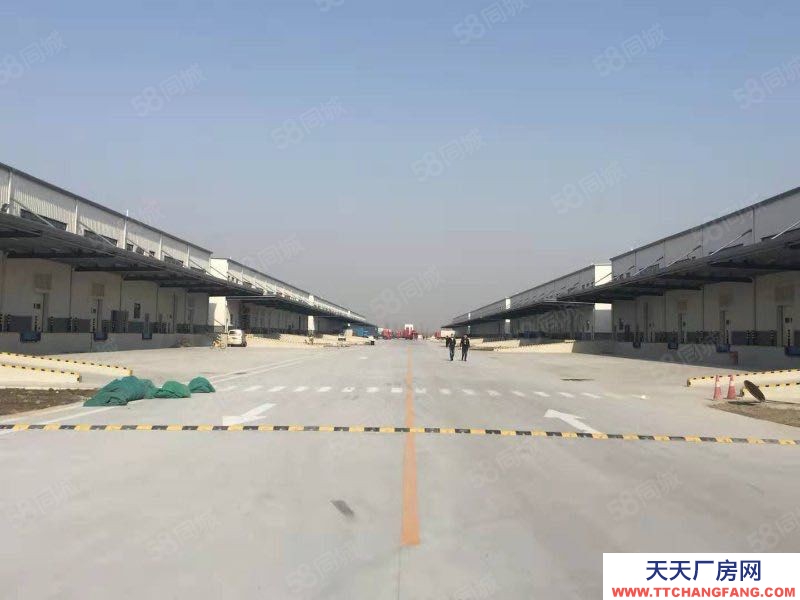 (出租) 天津津南區(qū)標(biāo)準(zhǔn)丙二類高臺(tái)倉(cāng)庫(kù)出租,可分租