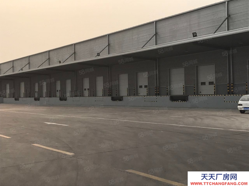 (出租) 天津津南區標準丙二類高臺倉庫出租,可分租