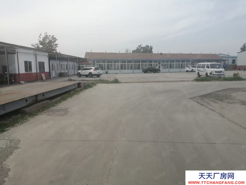 (出租) 天津武清自家?guī)旆砍鲎?僅剩2200平