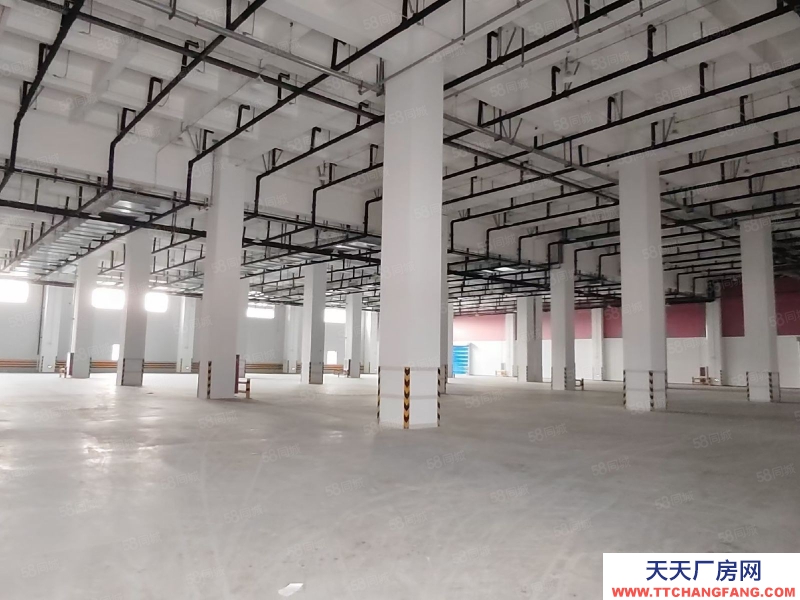 (出租) 天津東麗可臨租,分租,機場貨運區9萬平丙二高標倉出租