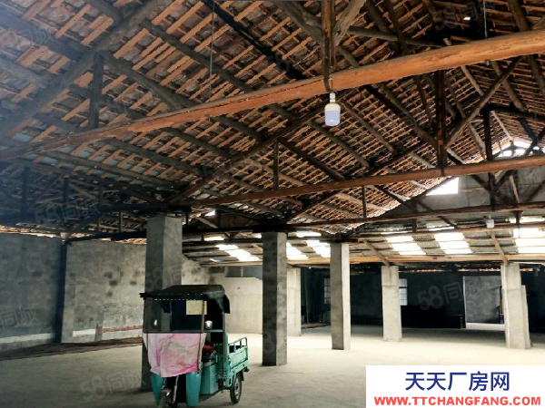 (出租) (天中)交通便利！武陵區明月村房東自建標準廠房倉庫直接出租