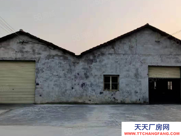 (出租) (天中)交通便利！武陵區明月村房東自建標準廠房倉庫直接出租