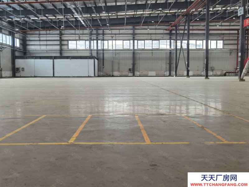 (出租) 天津漢沽精選倉庫丙二類高臺倉高臺庫高標庫出租分租