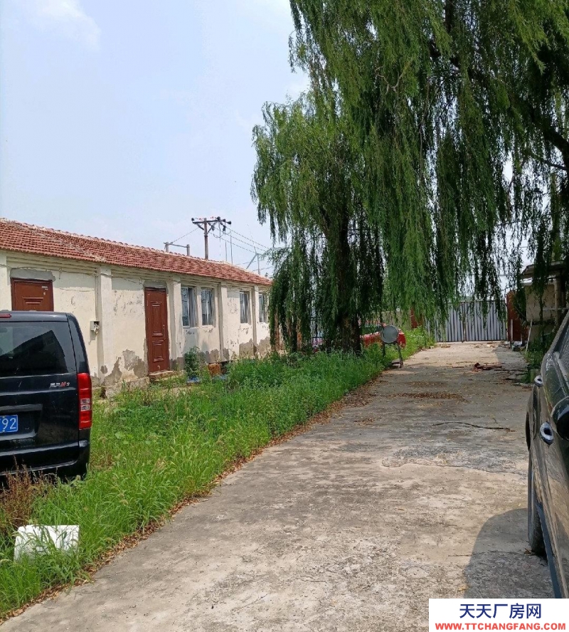 (出租) 天津寧河有房子13間，房子前后有院子，可以擴建，