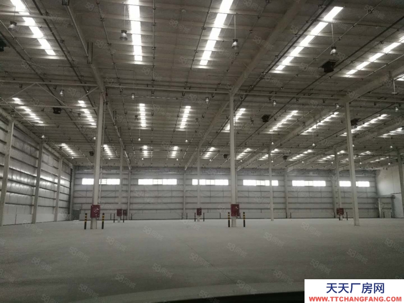 (出租) 天津靜海開發區產業園標準丙二類高臺倉庫出租，可分租