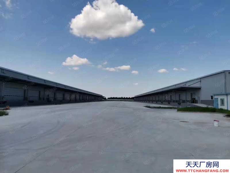 (出租) 天津靜海開發區產業園標準丙二類高臺倉庫出租，可分租