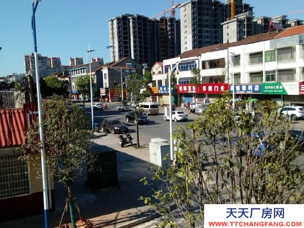 常德市澧縣 出租澧縣新區(qū)玉皇路500㎡獨棟物業(yè)