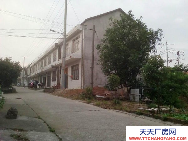 常德市澧縣 出租澧縣新區玉皇路500㎡獨棟物業