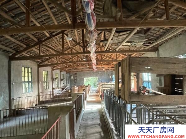 常德市澧縣閑置豬廠一棟設施齊全，可帶住房出租（售）。