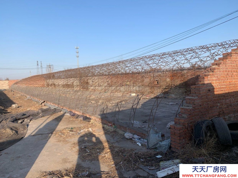 唐山 古治  養殖大棚租賃 出租 有水有電