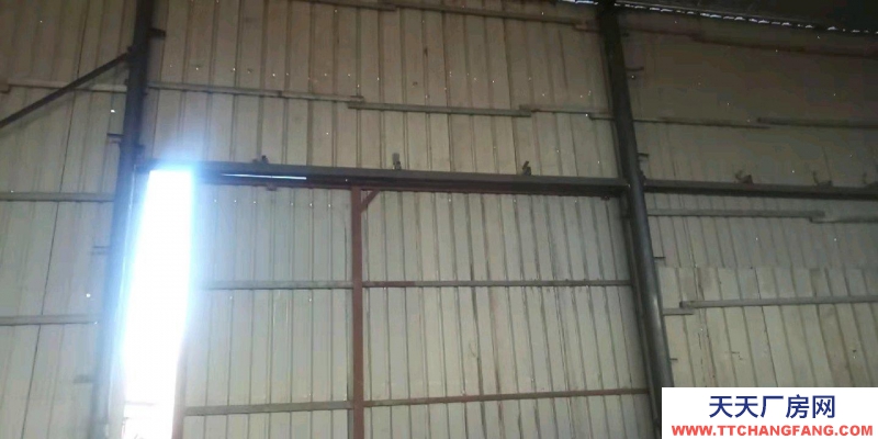 唐山 古治 庫房出租 長24米 寬20米 高7米 榛子鎮高速路口南行