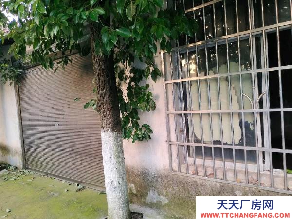 常德市澧縣北臨四馬小區(qū)，南臨遠(yuǎn)大汽貿(mào)，可做小型倉庫