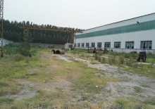 唐山 豐南 出租轉(zhuǎn)讓豐南廠房土地