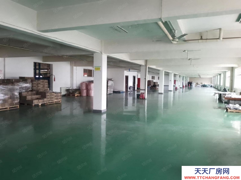 (出租) 天津塘沽開發(fā)區(qū)西區(qū)廠房出租