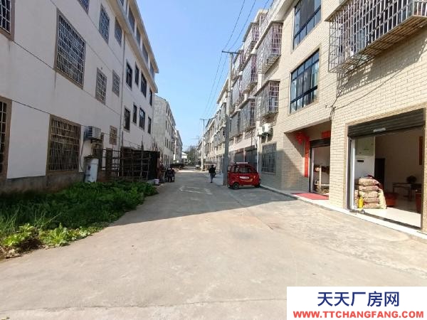 常德市漢壽縣加油站旁的陳家塔社區(qū)樓房一樓出租