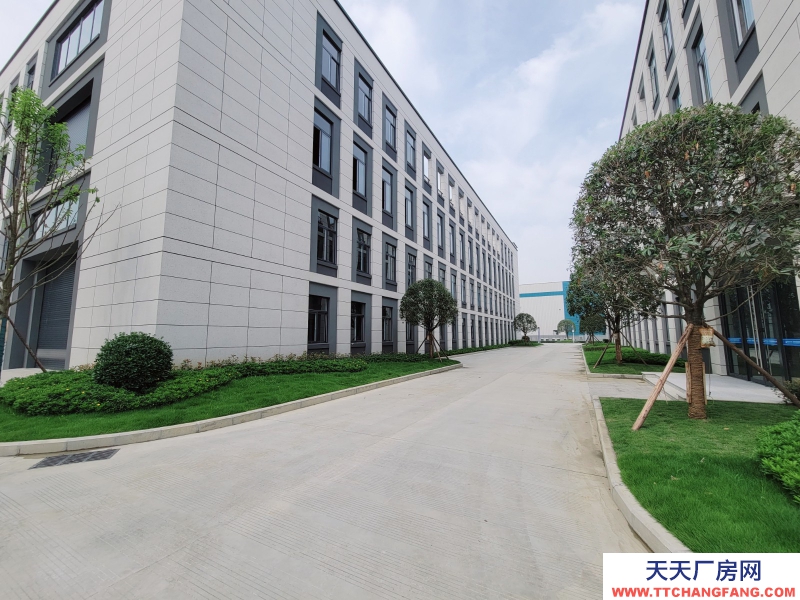 租售青白江全新獨棟花園式廠房 50年獨立產權 可按揭