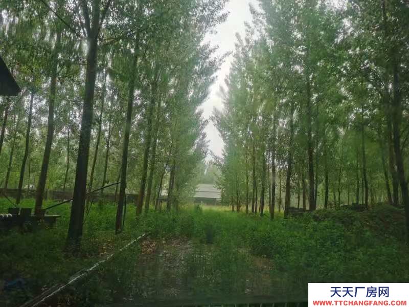 唐山 遷安 內部設施齊全，有廠房庫房，有空地