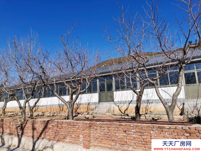 唐山 遷安 18畝大院出租，交通便利，三相電、深水井等設施齊全