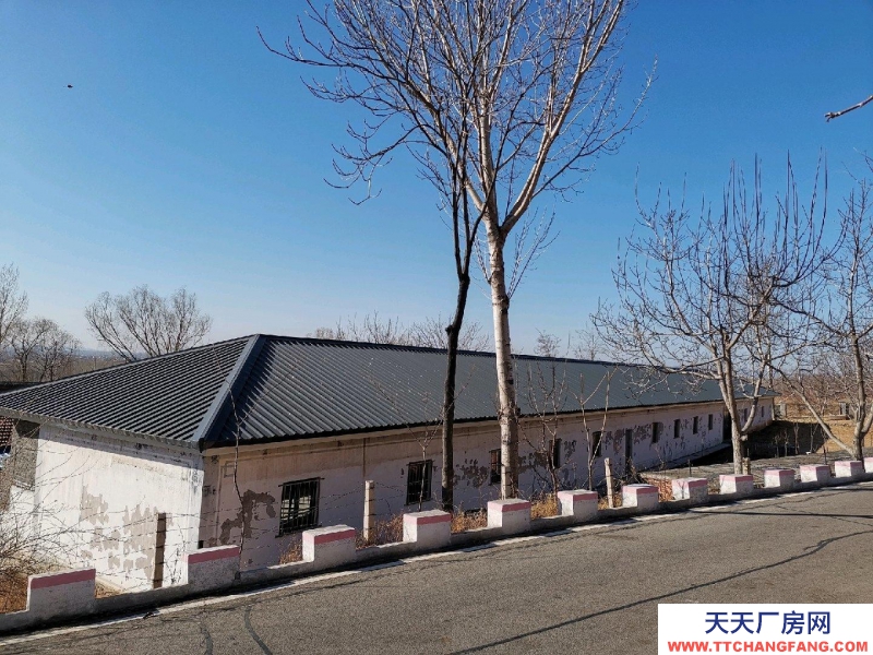唐山 遷安 18畝大院出租，交通便利，三相電、深水井等設施齊全