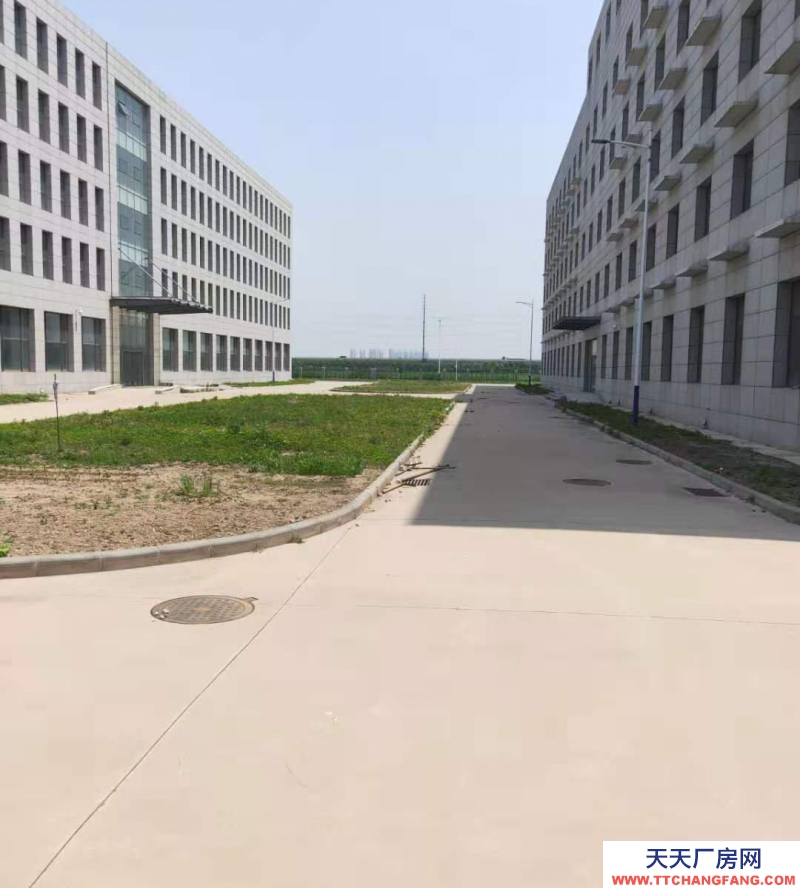 (出租) 天津河?xùn)|區(qū)衛(wèi)國道與外環(huán)線交口260-5600平米車間廠房倉庫