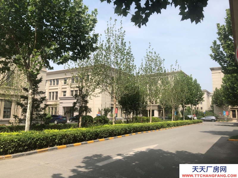 (出租) 天津河西品質(zhì)園區(qū)現(xiàn)房，可租可售，首層7.2m，可生產(chǎn)辦公