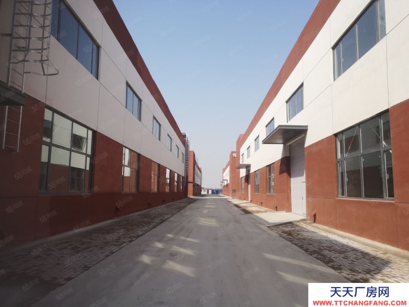 (出租) 天津東麗獨棟單層廠房出租 工業園區不限行業 拎包入住