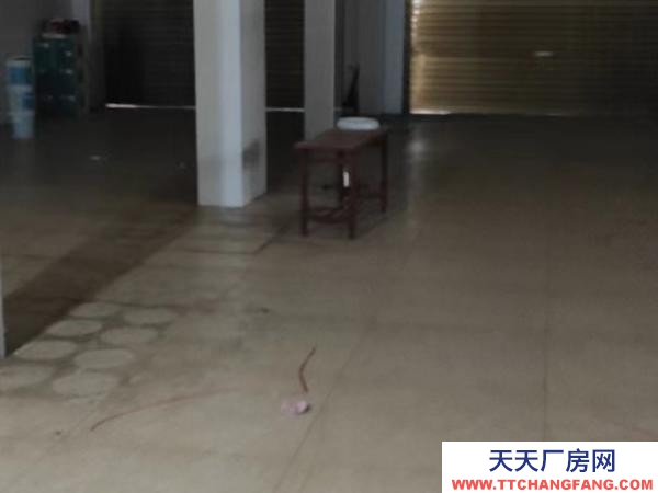 常德市安鄉 臨近深柳大道，交通便利