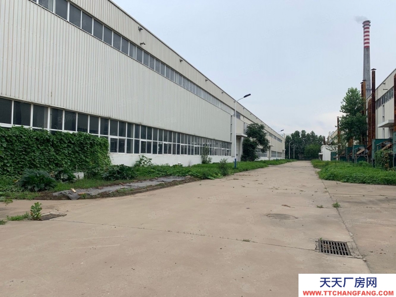 (出租) 天津東麗1萬平米2萬平米4萬平米大型廠房高13米可做生產可做倉庫