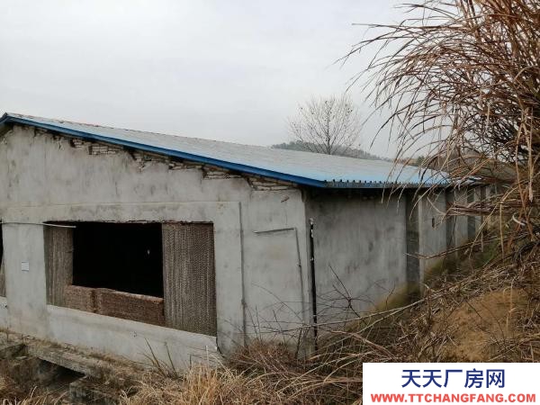 (出租)黃岡浠水 380V的電力，可根據用戶需求改