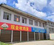 (出租) 黃岡浠水手續齊全，浠水冠喬學校前150米，浠英公路旁