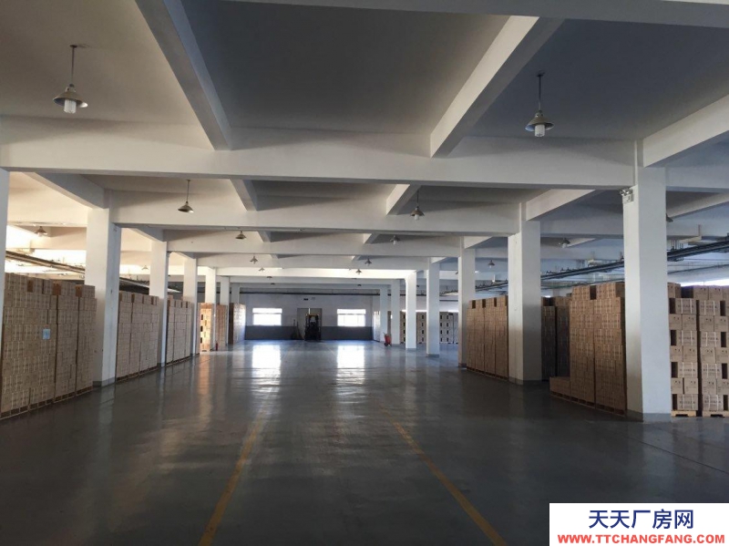 (出租) 天津大港50年大產權 正規產業園區 多規格可選 大環評