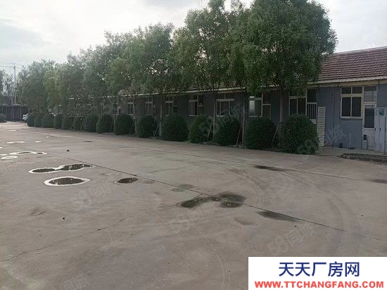 (出租) 天津市寧河區海北開發區廠庫房出租