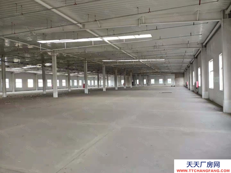 (出租)天津寧河 全新家具類雙層廠房，有噴漆烤漆環評，隨時可看！