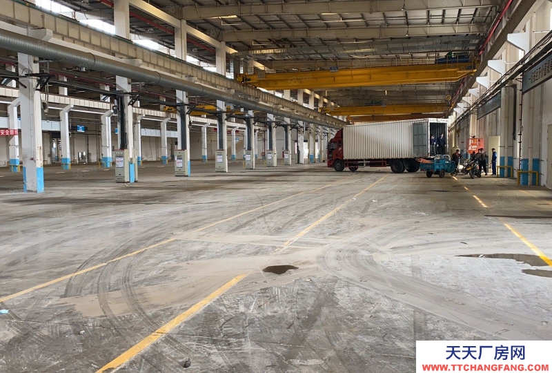 (出租) 天津寧河單層廠房出租 丙二類 緊鄰高速高鐵..