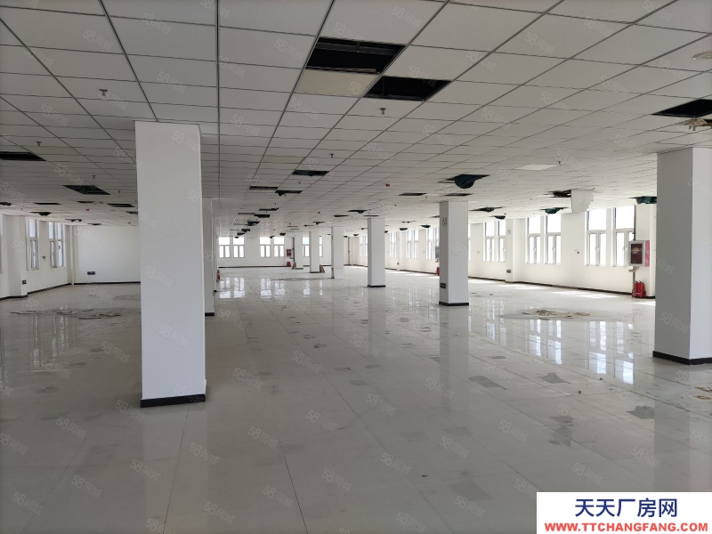 (出售) 天津塘沽（高端精密儀器產業園）打造天津（儀器設備研發生產）的專業園區