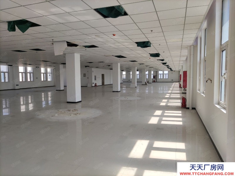 (出售) 天津塘沽（高端精密儀器產業園）打造天津（儀器設備研發生產）的專業園區