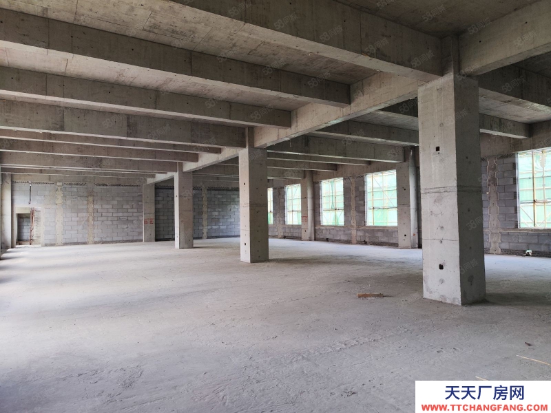 (出售) 天津南開非中介！外環線6號線地鐵旁1200到3000平標準廠房真實圖