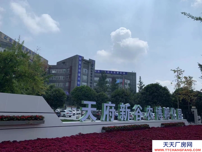 （轉(zhuǎn)讓）天府農(nóng)博孵化園3號車間2層轉(zhuǎn)讓，全裝修，帶辦公室