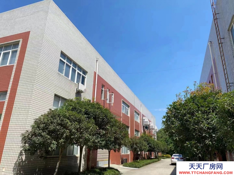 （轉(zhuǎn)讓）天府農(nóng)博孵化園3號車間2層轉(zhuǎn)讓，全裝修，帶辦公室