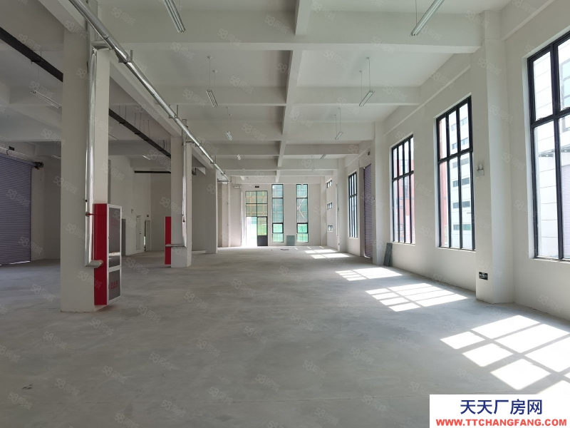 濰坊坊子獨棟兩層891平標準廠房，精裝交付，有環評，可貸款