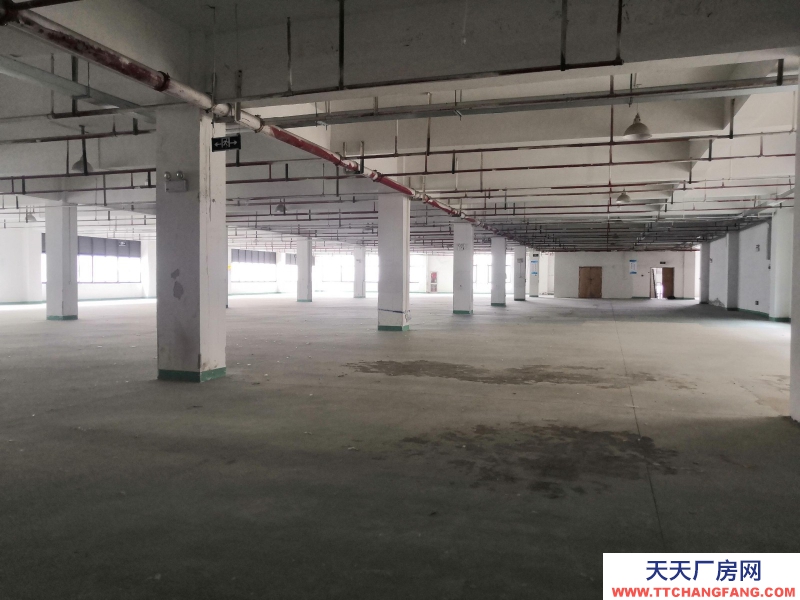 出租童裝行業廠房 湖州織里500平、1000平、1600平、3000平